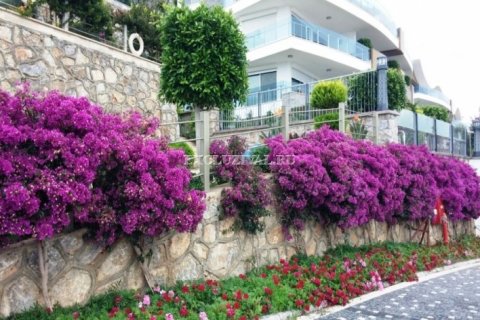 1+1 Lejlighed  i Alanya, Antalya, Tyrkiet Nr. 9424 - 23