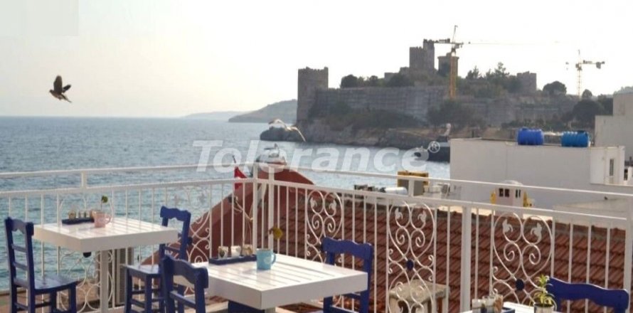 Hotel  i Bodrum, Mugla, Tyrkiet Nr. 60032