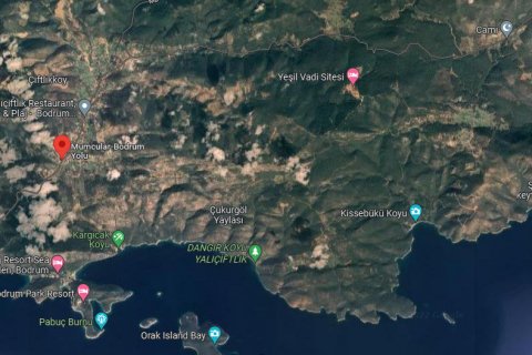 Tom  i Bodrum, Mugla, Tyrkiet Nr. 68118 - 1