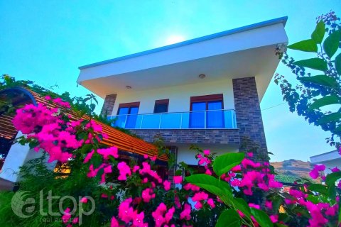 11+1 Villa  i Alanya, Antalya, Tyrkiet Nr. 77615 - 8