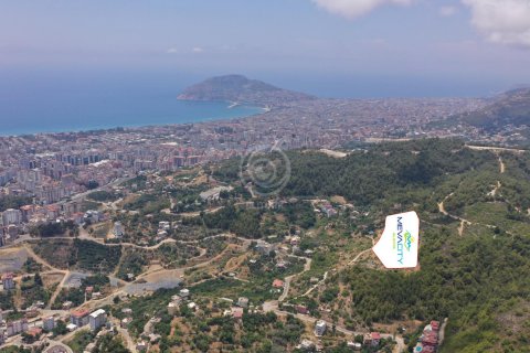 Boligkompleks  i Alanya, Antalya, Tyrkiet Nr. 79430 - 1