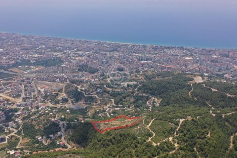 Boligkompleks  i Alanya, Antalya, Tyrkiet Nr. 79430 - 2