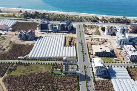 Erhvervsejendom  i Alanya, Antalya, Tyrkiet Nr. 80348 - 10