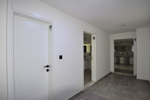 3+1 Penthouse  i Avsallar, Antalya, Tyrkiet Nr. 83647 - 25