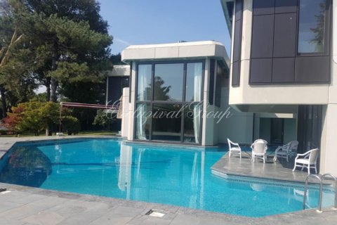 10+2 Villa  in Istanbul, Türkei Nr. 16335 - 3