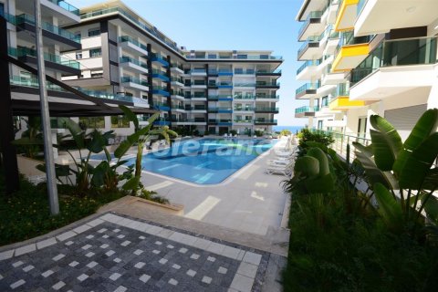 2+1 Wohnung  in Alanya, Antalya, Türkei Nr. 3441 - 8