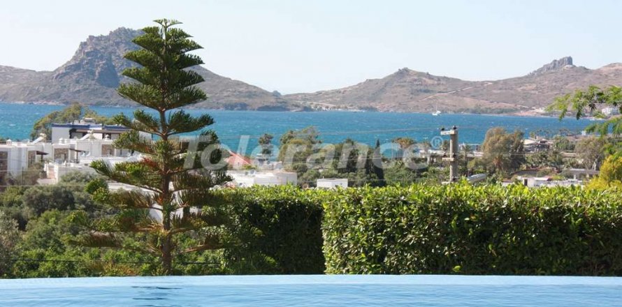 5+1 Villa  in Bodrum, Mugla, Türkei Nr. 3548