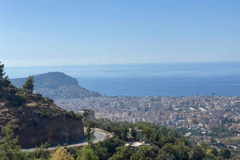 Land  in Bektas, Alanya, Antalya, Türkei Nr. 37715 - 2