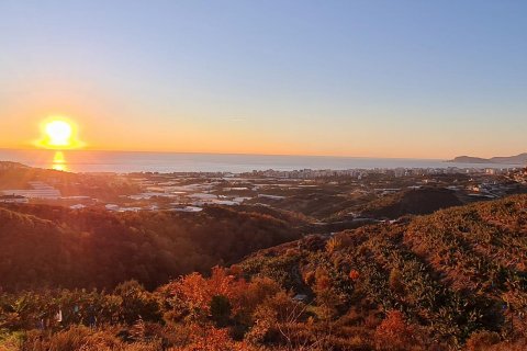Land  in Kargicak, Alanya, Antalya, Türkei Nr. 42893 - 1