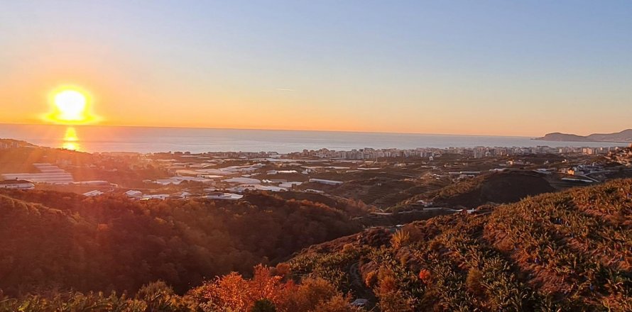 Land  in Kargicak, Alanya, Antalya, Türkei Nr. 42893