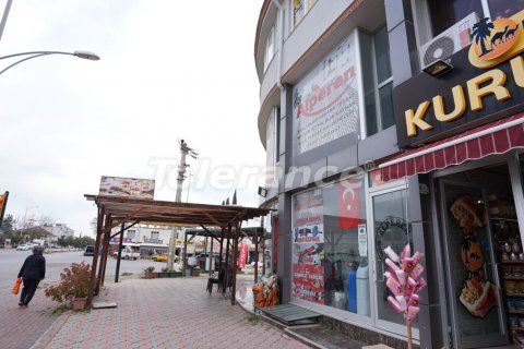 Gewerbeimmobilien  in Antalya, Türkei Nr. 46113 - 8