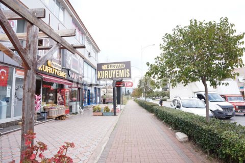 Gewerbeimmobilien  in Antalya, Türkei Nr. 46113 - 1
