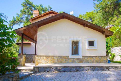 6+1 Villa  in Fethiye, Mugla, Türkei Nr. 48924 - 8