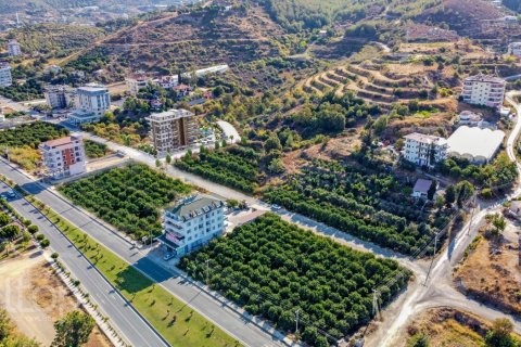 1+1 Wohnung  in Alanya, Antalya, Türkei Nr. 47482 - 13