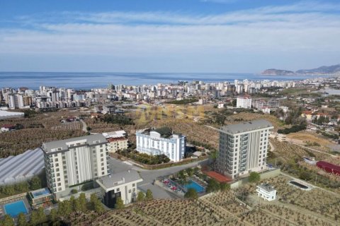 1+1 Wohnung  in Alanya, Antalya, Türkei Nr. 48289 - 3