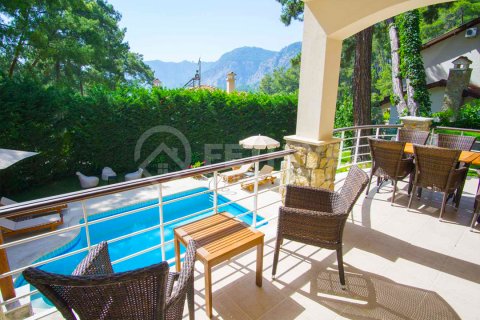 6+1 Villa  in Fethiye, Mugla, Türkei Nr. 48924 - 21