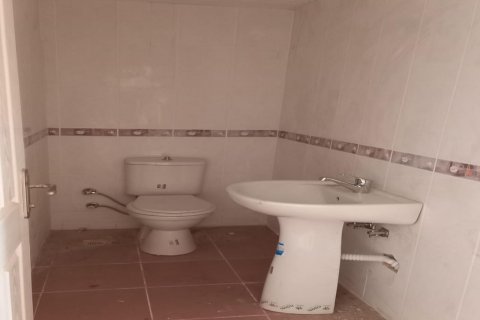 3+1 Wohnung  in Bektas, Alanya, Antalya, Türkei Nr. 48780 - 9