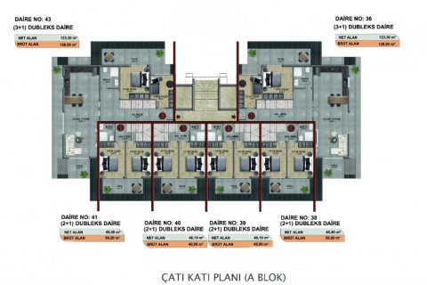 1+1 Wohnung  in Alanya, Antalya, Türkei Nr. 51681 - 12