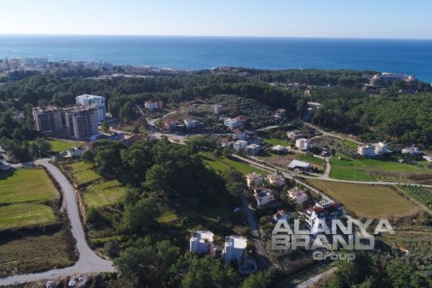 1+1 Wohnung  in Alanya, Antalya, Türkei Nr. 59007 - 21