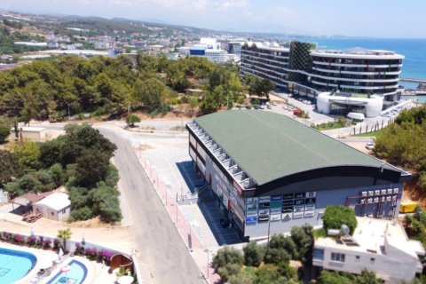 Gewerbeimmobilien  in Alanya, Antalya, Türkei Nr. 58931 - 1