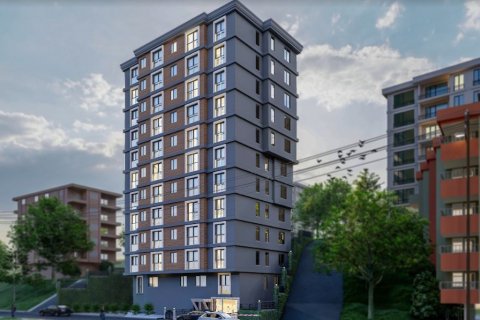 1+1 Wohnung  in Kâğıthane, Istanbul, Türkei Nr. 65345 - 1