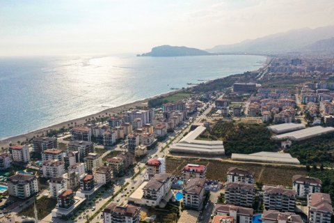 1+1 Wohnung  in Alanya, Antalya, Türkei Nr. 63717 - 2