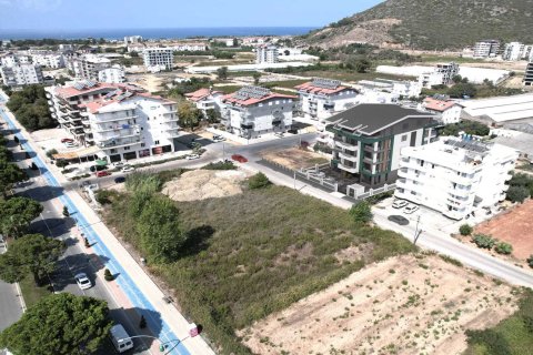 Bauprojekt  in Gazipasa, Antalya, Türkei Nr. 71823 - 4