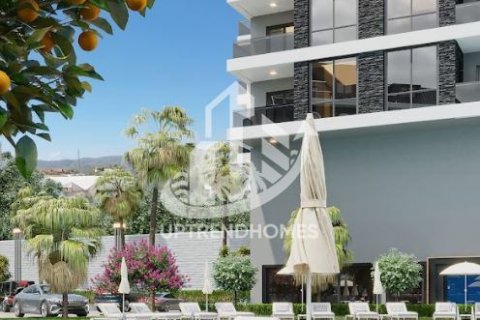 Gewerbeimmobilien  in Konakli, Antalya, Türkei Nr. 67543 - 11