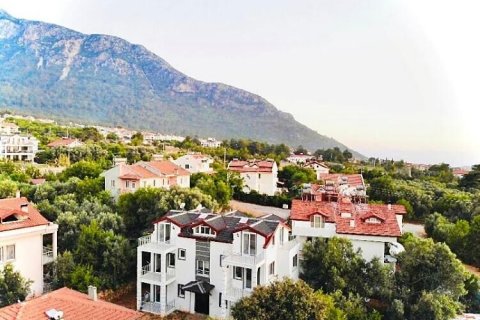 10+1 Villa  in Ovacik, Mugla, Türkei Nr. 73494 - 1