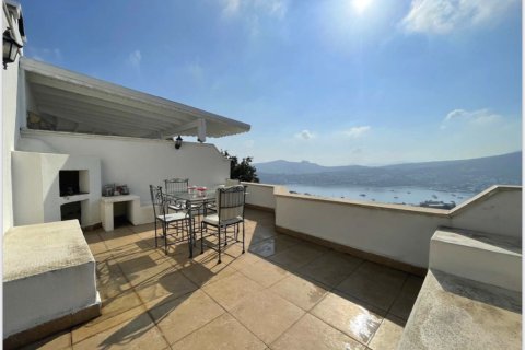 3+1 Villa  in Bodrum, Mugla, Türkei Nr. 74839 - 15