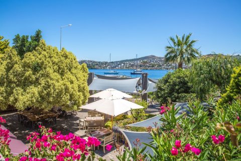 Hotel  in Bodrum, Mugla, Türkei Nr. 74854 - 9