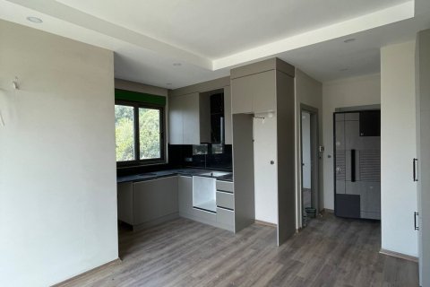 1+1 Wohnung  in Gazipasa, Antalya, Türkei Nr. 77448 - 22