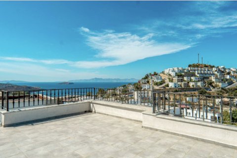 4+1 Villa  in Bodrum, Mugla, Türkei Nr. 76334 - 18