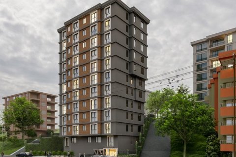 1+0 Wohnung  in Istanbul, Türkei Nr. 41509 - 2