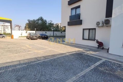 1+1 Wohnung  in Alanya, Antalya, Türkei Nr. 83829 - 6