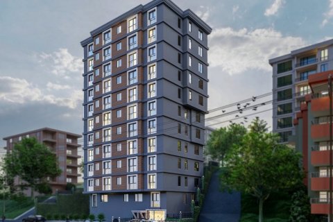 1+0 Wohnung  in Istanbul, Türkei Nr. 41509 - 1
