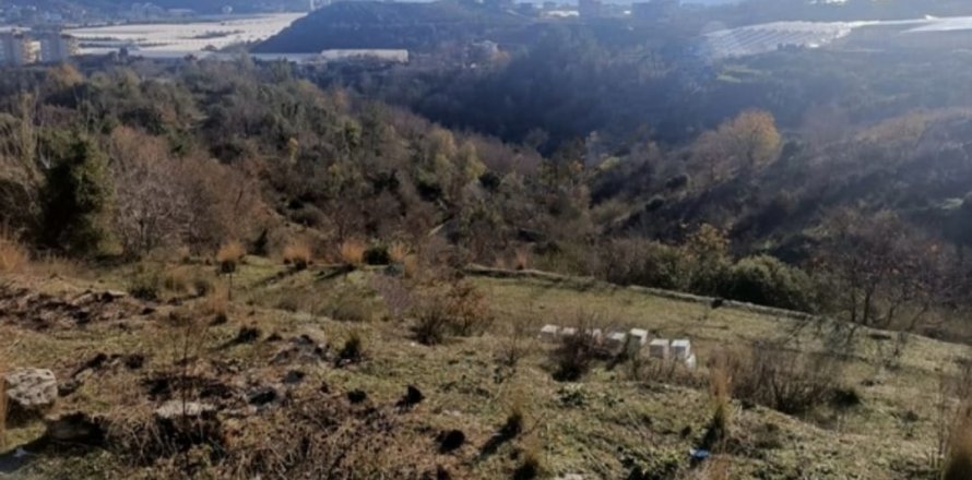 Land  in Alanya, Antalya, Türkei Nr. 80567