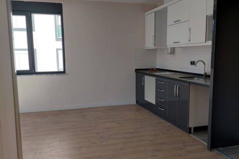 1+1 Wohnung  in Kestel, Antalya, Türkei Nr. 86018 - 20