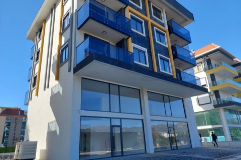 1+1 Wohnung  in Kestel, Antalya, Türkei Nr. 86018 - 19