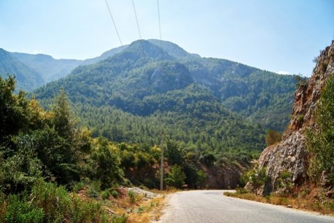 Amazing nature and wildlife in Alanya