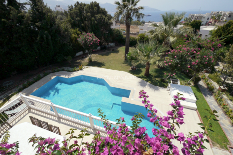 Villa for rent  in Bodrum, Mugla, Turkey, 8 bedrooms, 660m2, No. 9980 – photo 11