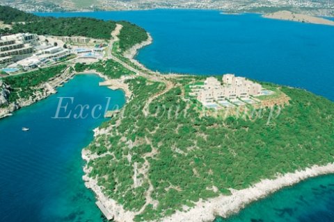 Land plot for sale  in Bodrum, Mugla, Turkey, studio, 120000m2, No. 9831 – photo 1