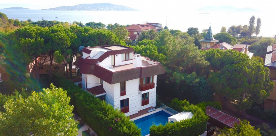 5+2 Villa  in Istanbul, Turkey No. 15928