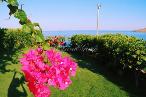 Apartment for sale  in Bodrum, Mugla, Turkey, 4 bedrooms, 180m2, No. 16658 – photo 12