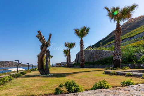 Apartment for sale  in Bodrum, Mugla, Turkey, 2 bedrooms, 49m2, No. 9570 – photo 24