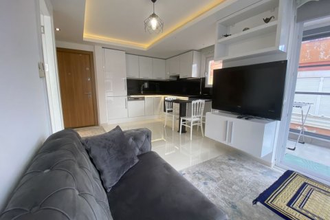 Apartment for sale  in Alanya, Antalya, Turkey, 1 bedroom, 45m2, No. 33919 – photo 10