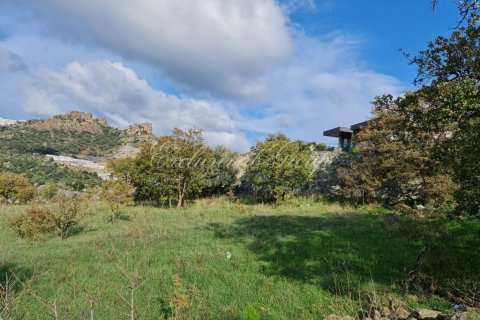 Land plot for sale  in Bodrum, Mugla, Turkey, studio, 9000m2, No. 33875 – photo 3