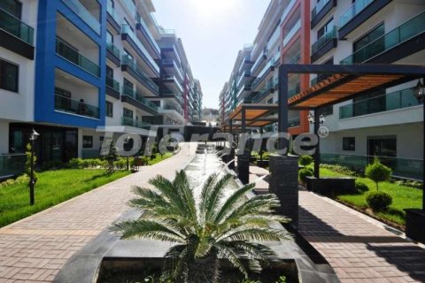 Apartment for sale  in Alanya, Antalya, Turkey, 3 bedrooms, 42m2, No. 3708 – photo 5