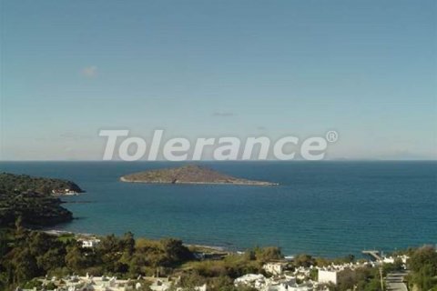 Land plot for sale  in Bodrum, Mugla, Turkey, studio, 550m2, No. 3950 – photo 2