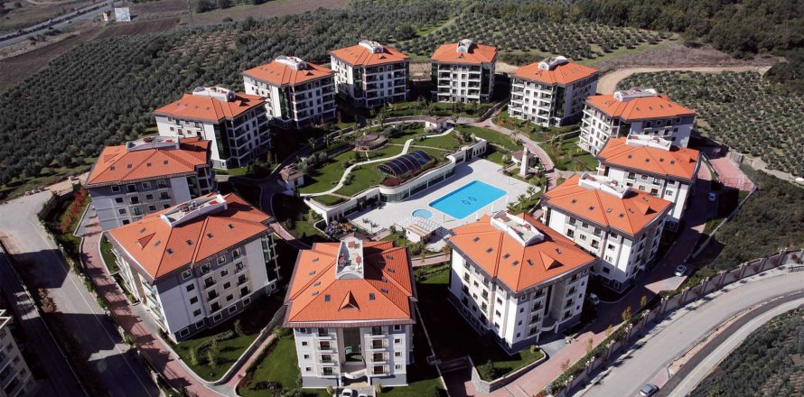 Ayti Dikencik Resort  in Bursa, Turkey No.39296